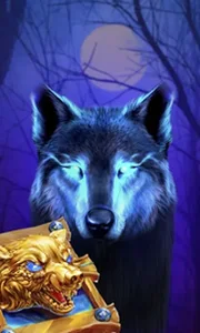Book Of The Night Wolf